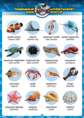 Игры, подготовка к школе 6 лет Игры, подготовка к школе 6 лет
